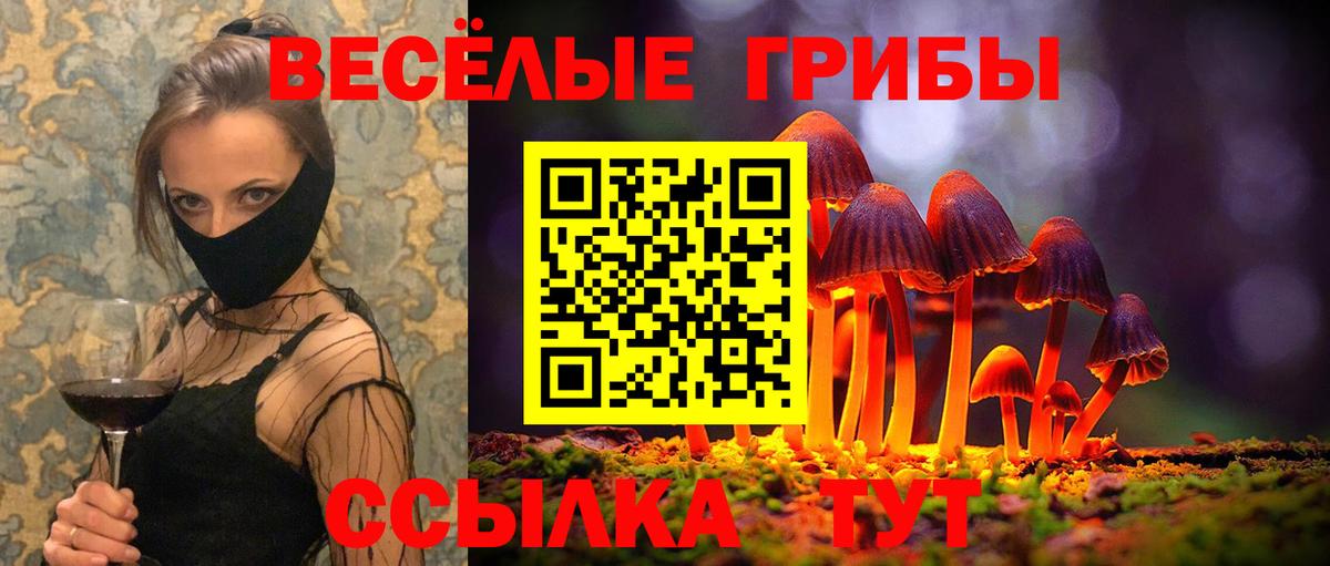 Псилоцибиновые грибы прущие грибы  Вход с VPN  Псилоцибиновые грибы Cubensis  Советская Гавань 